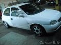 513f06ec91cf9.jpg