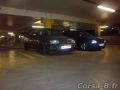 513cee85021b4.jpg